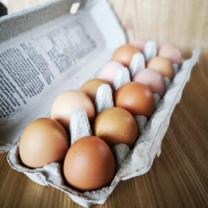 Dozen Farm Fresh Eggs